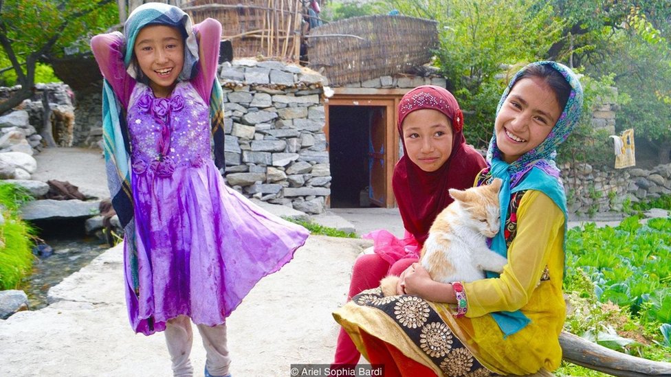 Saunada jinsiy aloqa porno GIF Gipnovideo orgazmni tomosha qiling