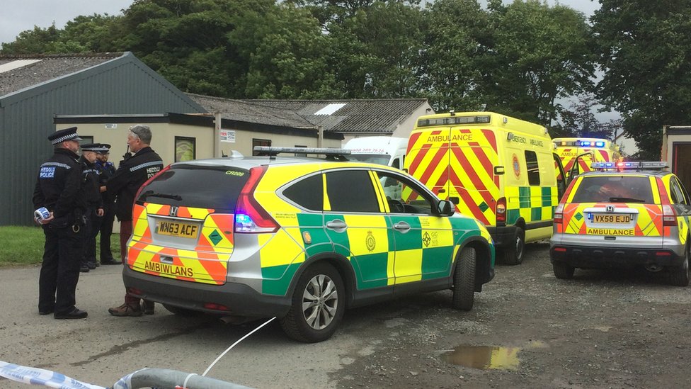 Six people injured by loose horse at Pembrokeshire Show