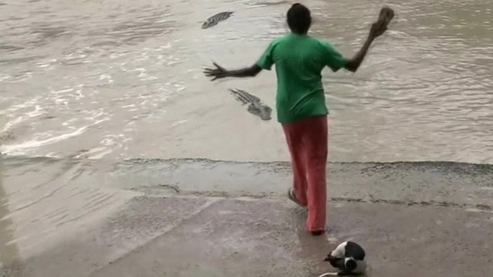 Woman scares off crocodile with flip-flop in Australia