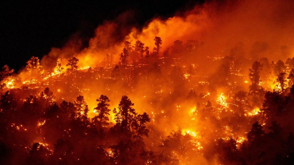 University developing wildfire prediction system