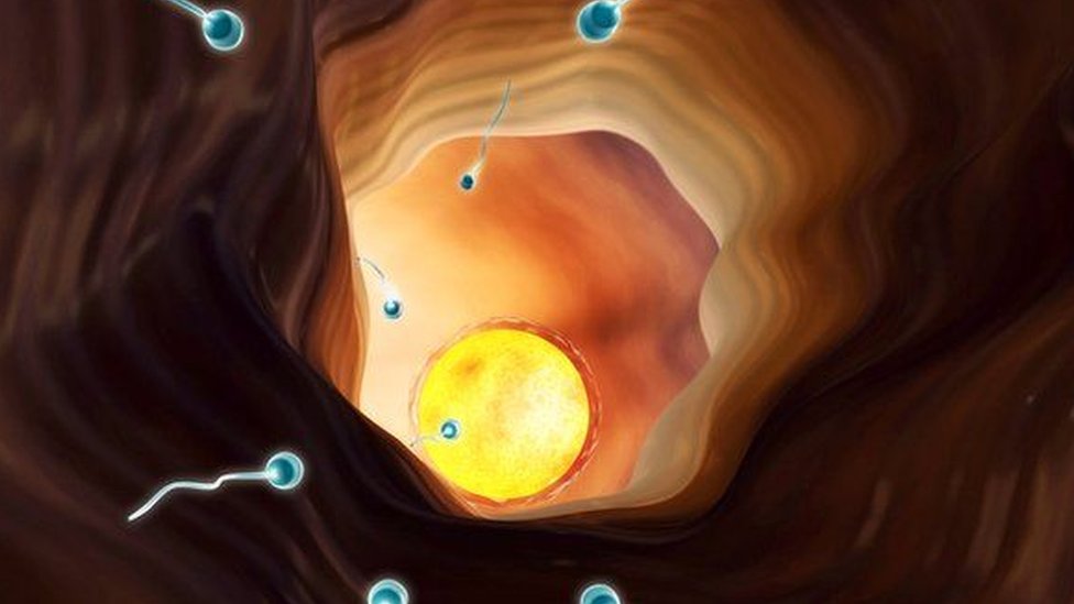 Ayol orgazmi yaqin planda porno video