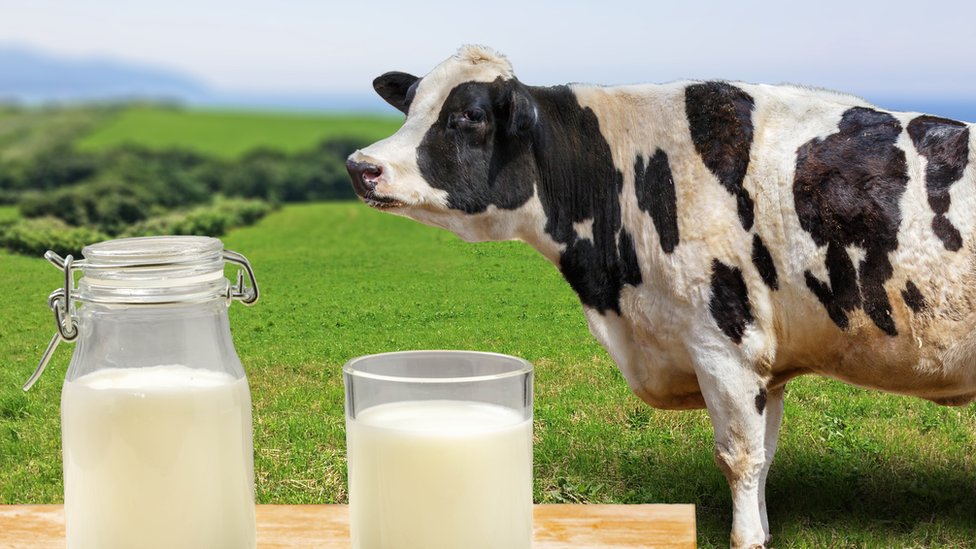 Realmente son más saludables las &quot;leches vegetales&quot; que la leche de vaca? -  BBC News Mundo