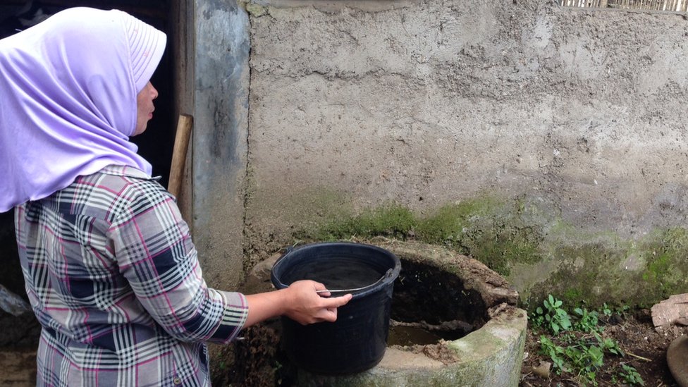 Biogas