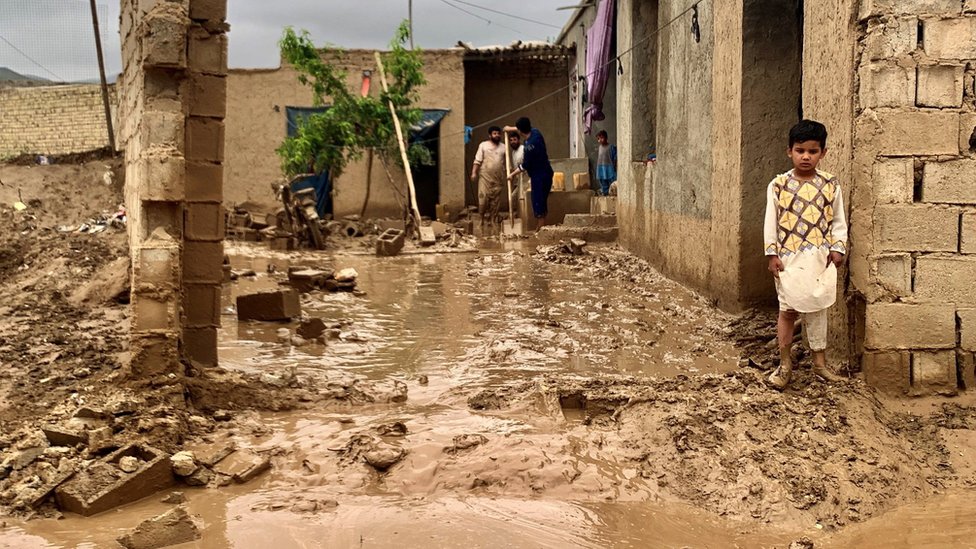 Yigit qanday qilib qizga tegadi Vaffler mushukchani yalaydi