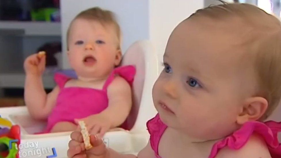 Tabiatdagi tabiatshunoslarning havaskor video