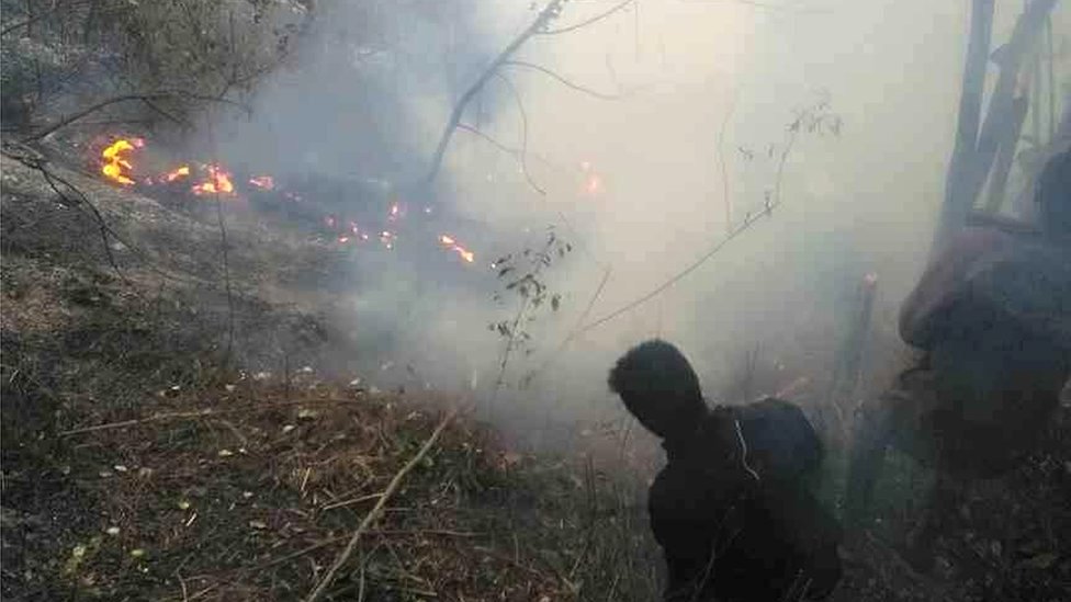 Vasvasa oroli realiti-shousida jinsiy aloqa Vasvasa oroli realiti-shousida jinsiy aloqa