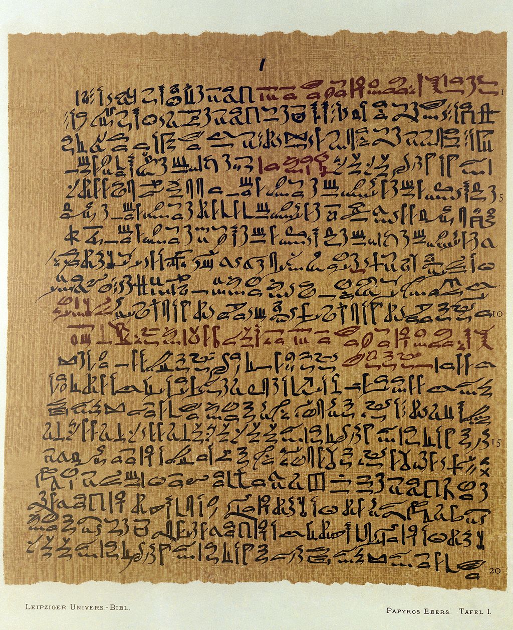 Reproducción de 1875 del de Papiro Ebers. (Foto: Welcome Images vía Wikimedia Commons)