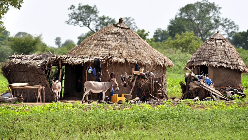 Dozens of Mali villagers killed by gunmen