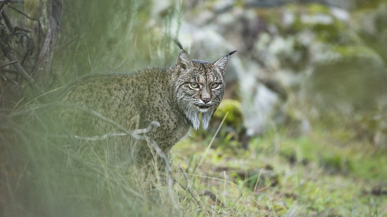 10 of the best Young Wildlife Photographer of the Year