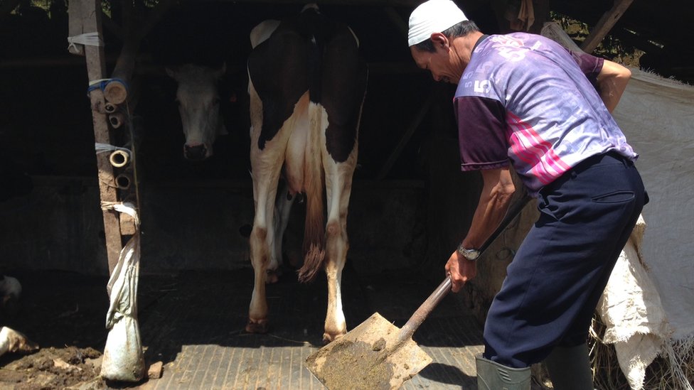 Biogas
