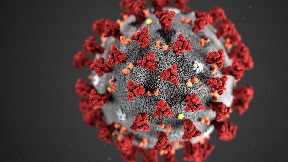 Китай опубликовал первый снимок нового коронавируса под микроскопом