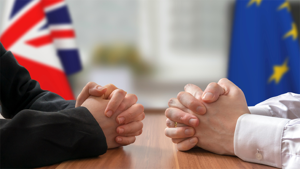 Brexit: Extend transition only to scrap backstop, says Dominic Raab