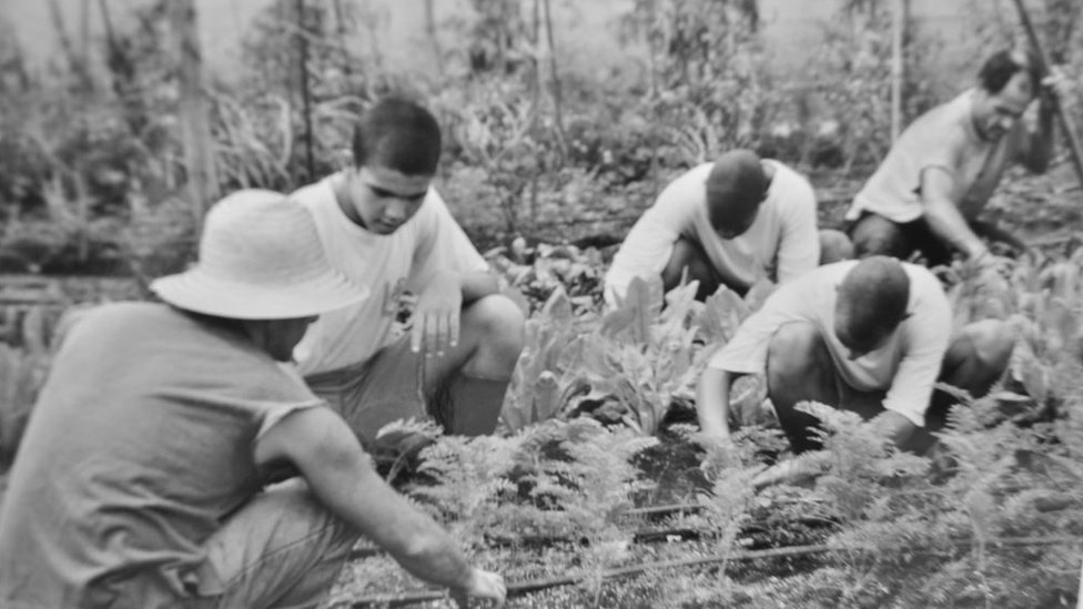 Os jovens infratores que se tornaram campeões de xadrez: 'É como a