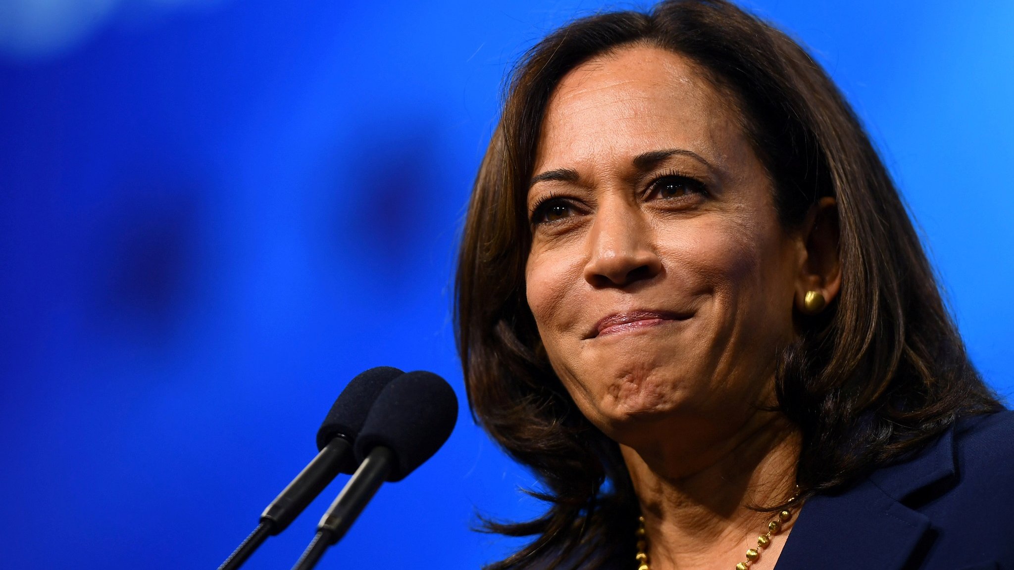 美国 大选 副 总统 人选 (99) 사진