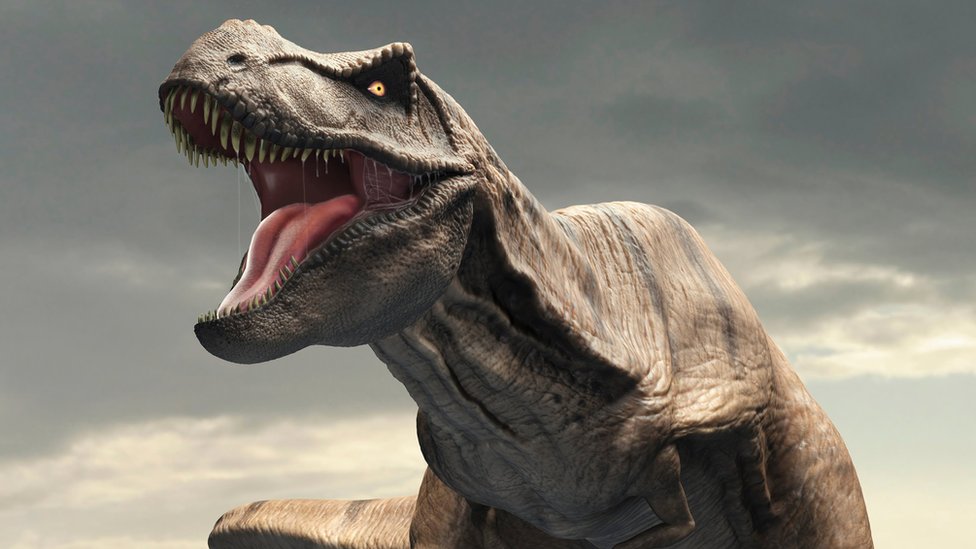 Un mito errado: el temible Tyrannosaurus rex no podía sacar la lengua - BBC  News Mundo