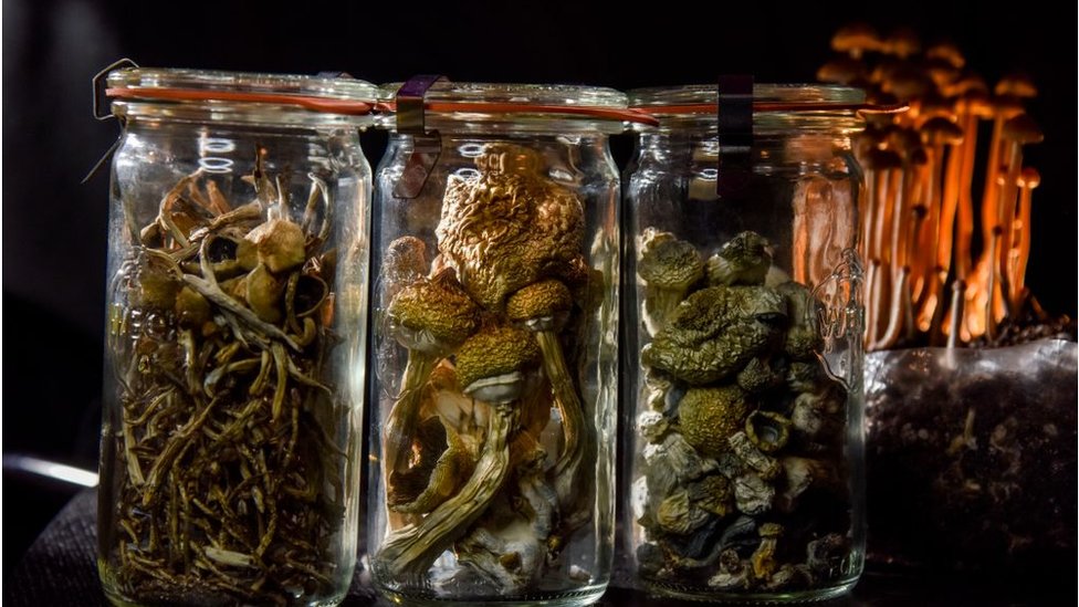 Ekstremal porno videolar