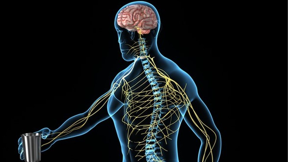 Qué es la neuropatía periférica por la que a la leyenda del rock Eric