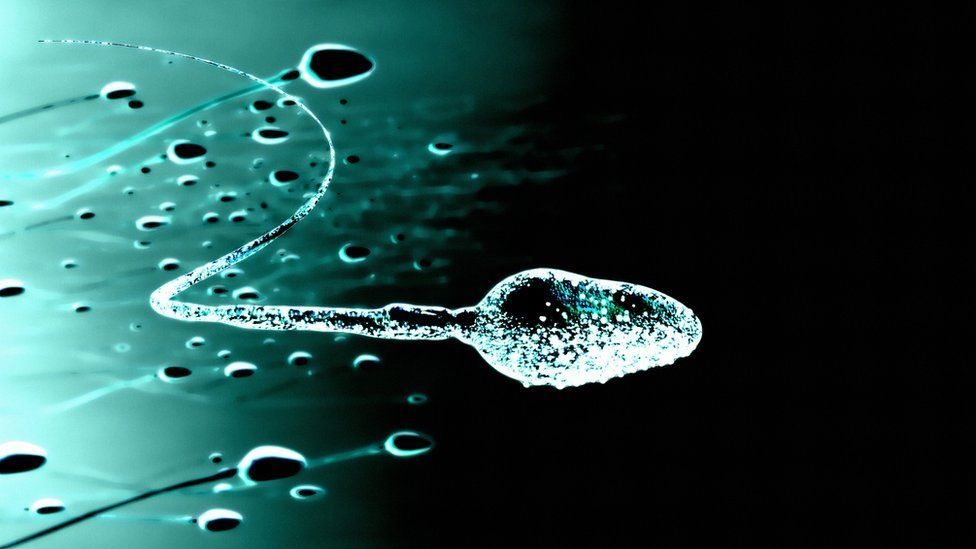 Sperma