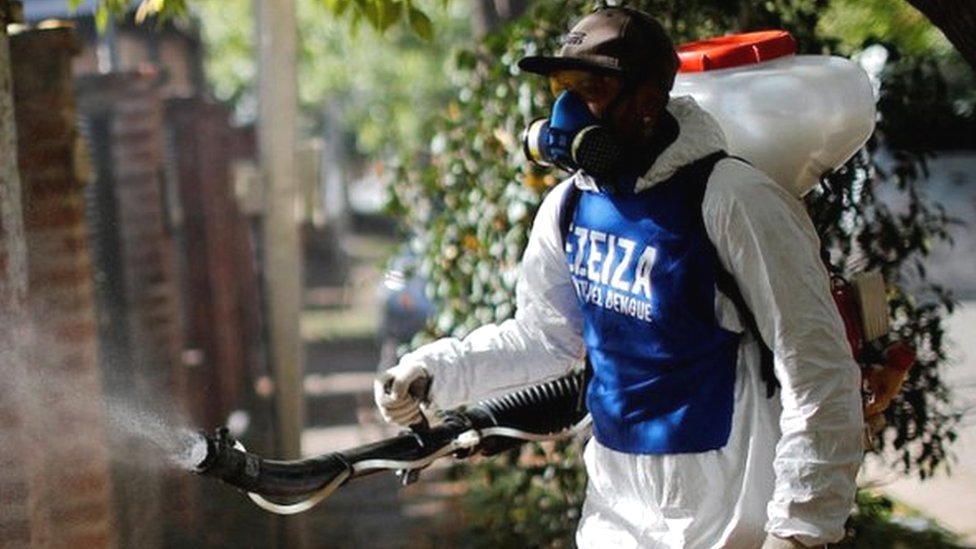 Record dengue outbreak kills over 40 in Argentina