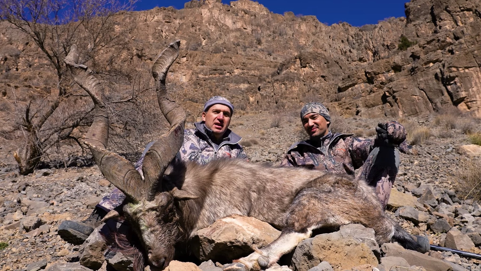 Haqiqatan ham chiroyli porno