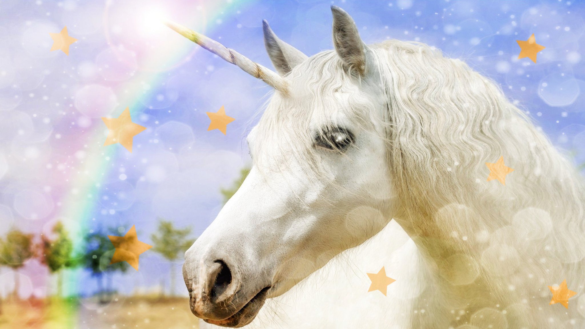 national-unicorn-day-is-really-here-cbbc-newsround