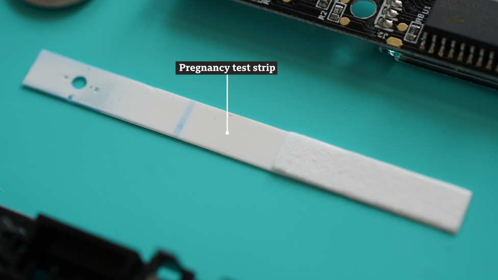 A pregnancy test strip