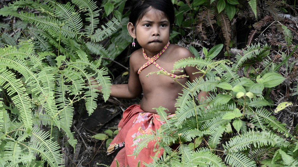 orang rimba