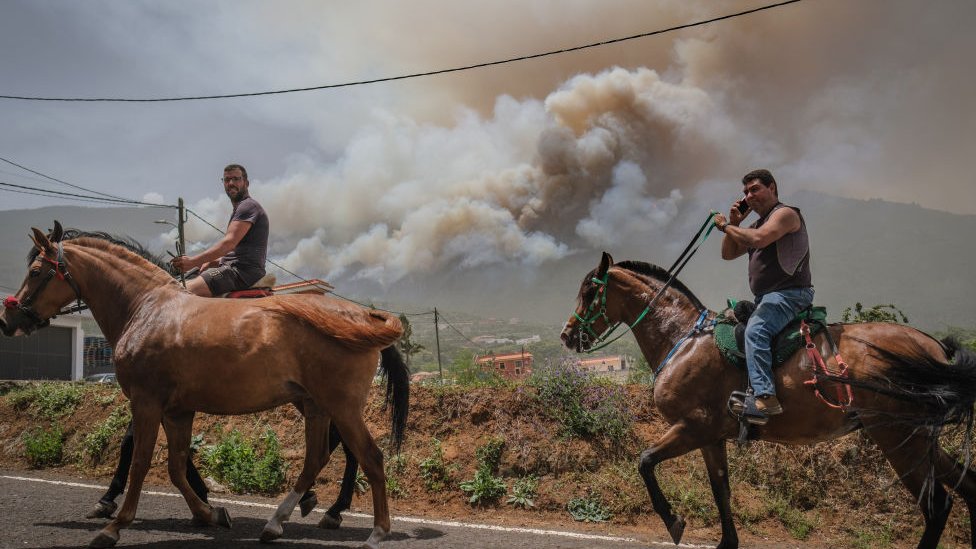 In pictures: Wildfires rage from Tenerife to Greece