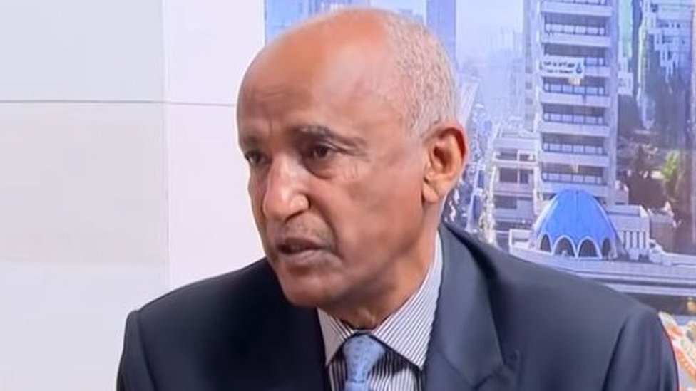 Semiz keksa ayolning ajoyib mushukining fotosurati