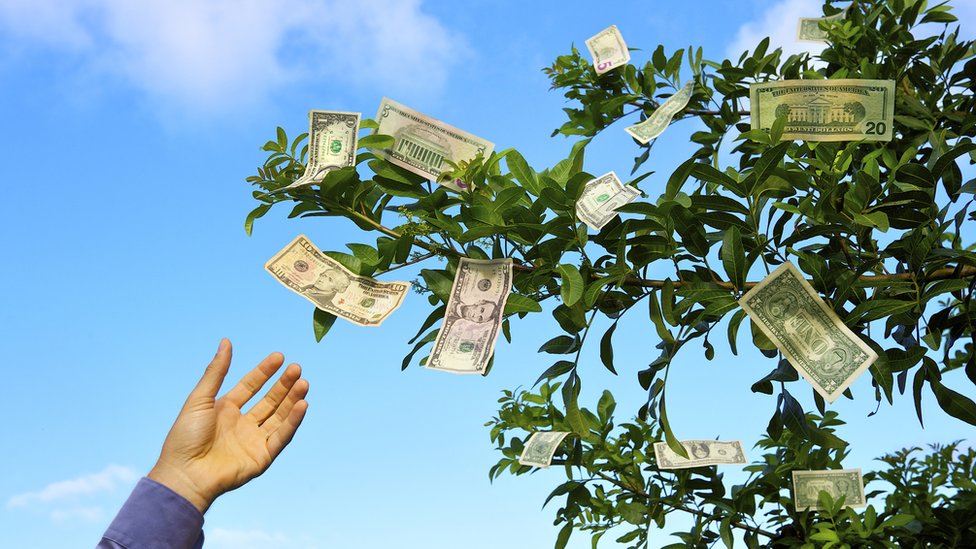 Dinero en un árbol