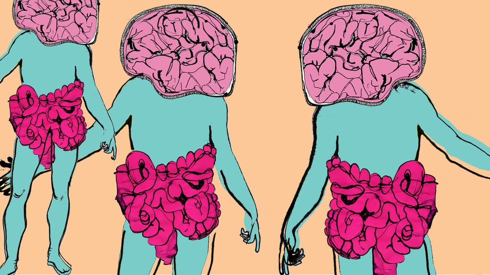 DIME QUE COMES Y TE DIRE QUE BACTERIAS TIENES. El intestino, nuestro  segundo cerebro.