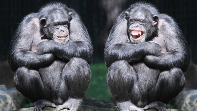 Uning ogziga bir minut va cums beradi