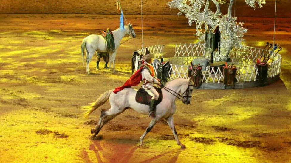 hohhot horse show