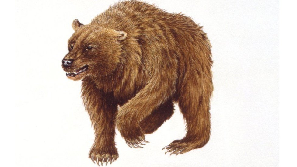 Санкт-Петербургте ақша үшін жыныстық қатынас іздеген жұптар Елена Беркова мен қара нәсілді адам бейнеленген порно видеоны онлайн көріңіз