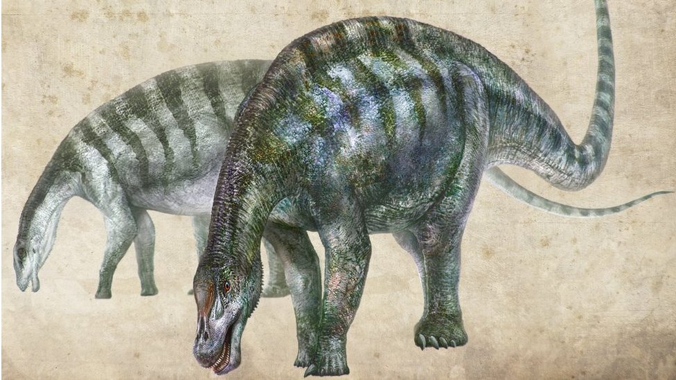 12歳少年 6900万年前の恐竜の化石を発見 カナダ cニュース