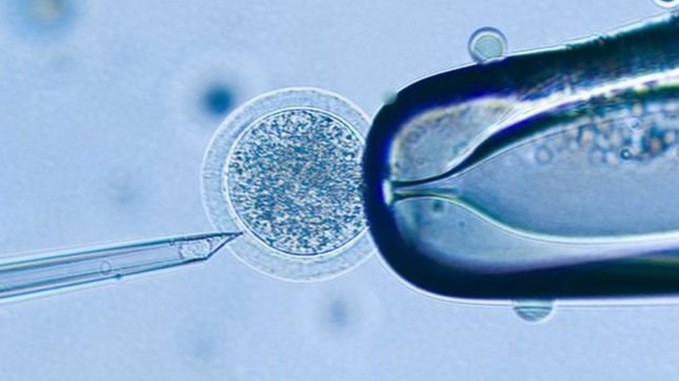 Porno jinsiy aloqa 20