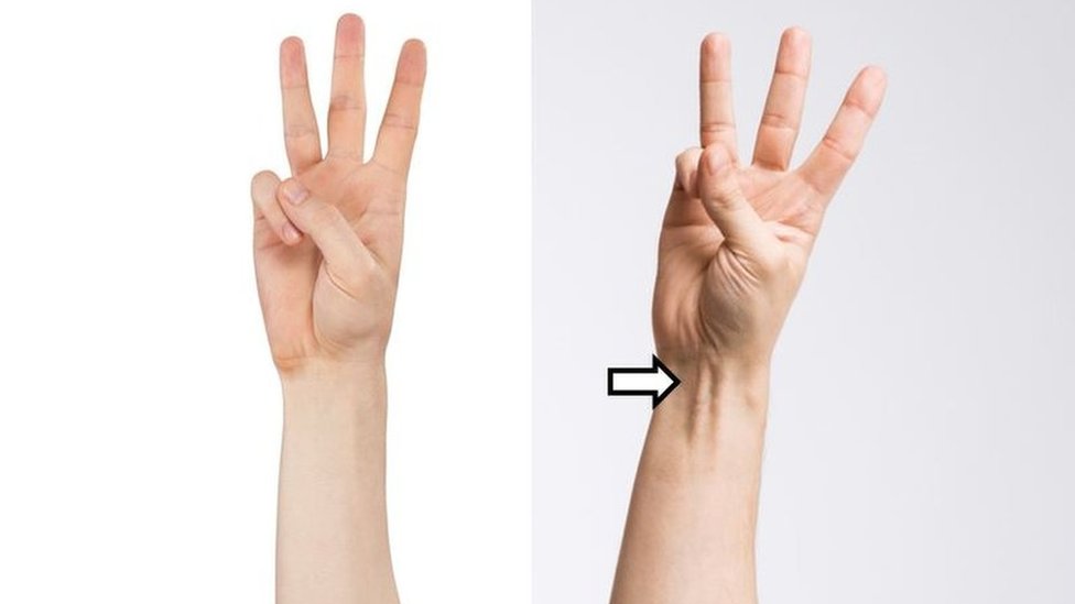 Ответы natali-fashion.ru: Как удлинить пальцы рук.