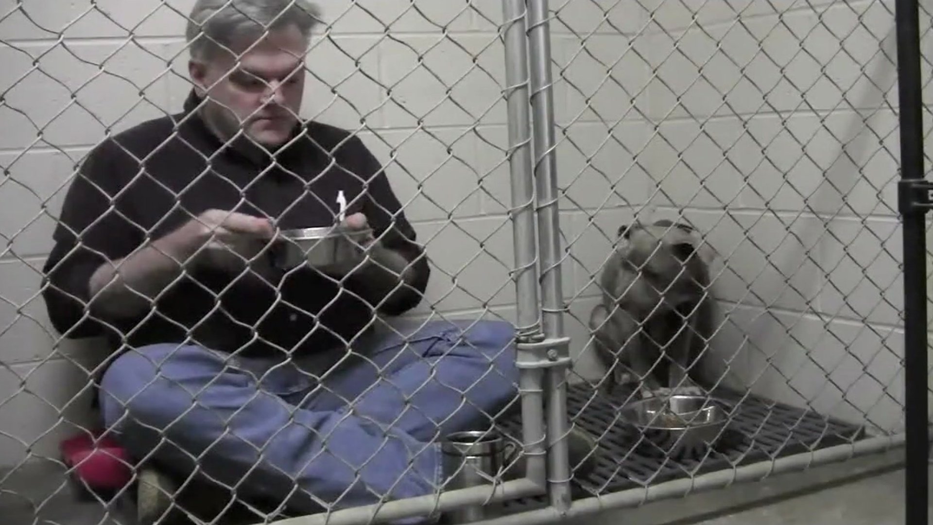 Vet and dog eat in kennel together CBBC Newsround