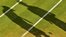 Tennis chiefs admit banned umpire error