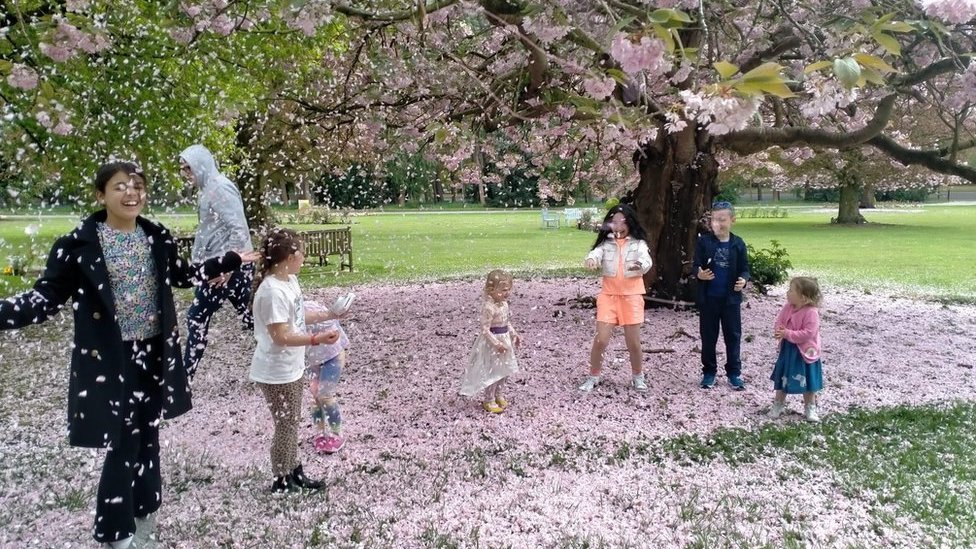England's Big Picture: Images of the nation