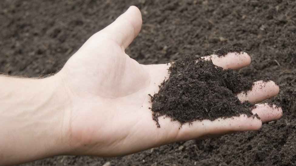 New York state allows human bodies to be composted