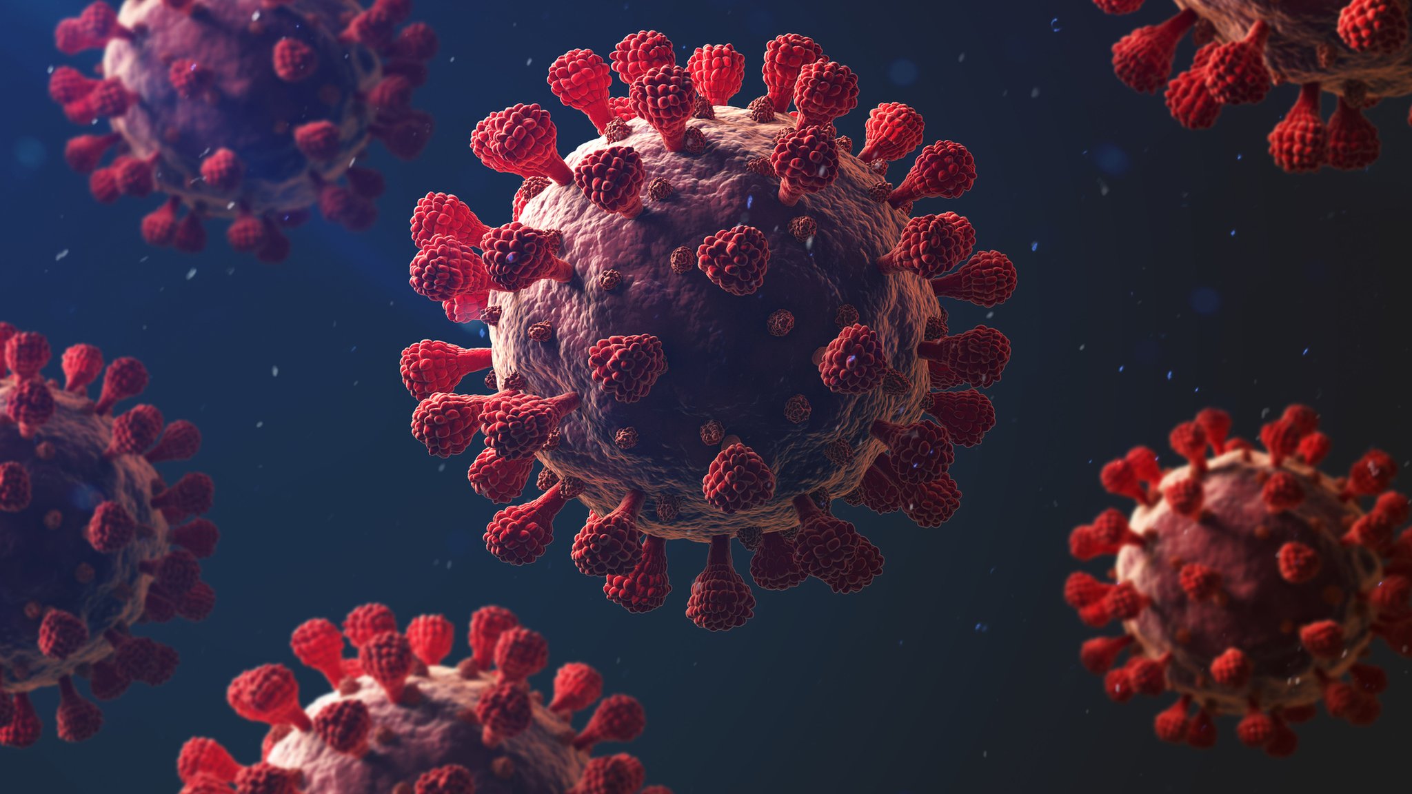 El Coronavirus SARS CoV 2
