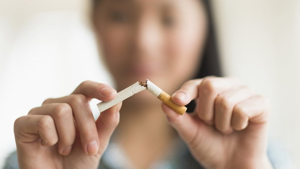how long are cigarettes good for once opened How to Keep Cigarettes Fresh: Your Ultimate Guide to Prolonging Cigarette Life how long are cigarettes good for once opened How to Keep Cigarettes Fresh: Your Ultimate Guide to Prolonging Cigarette Life