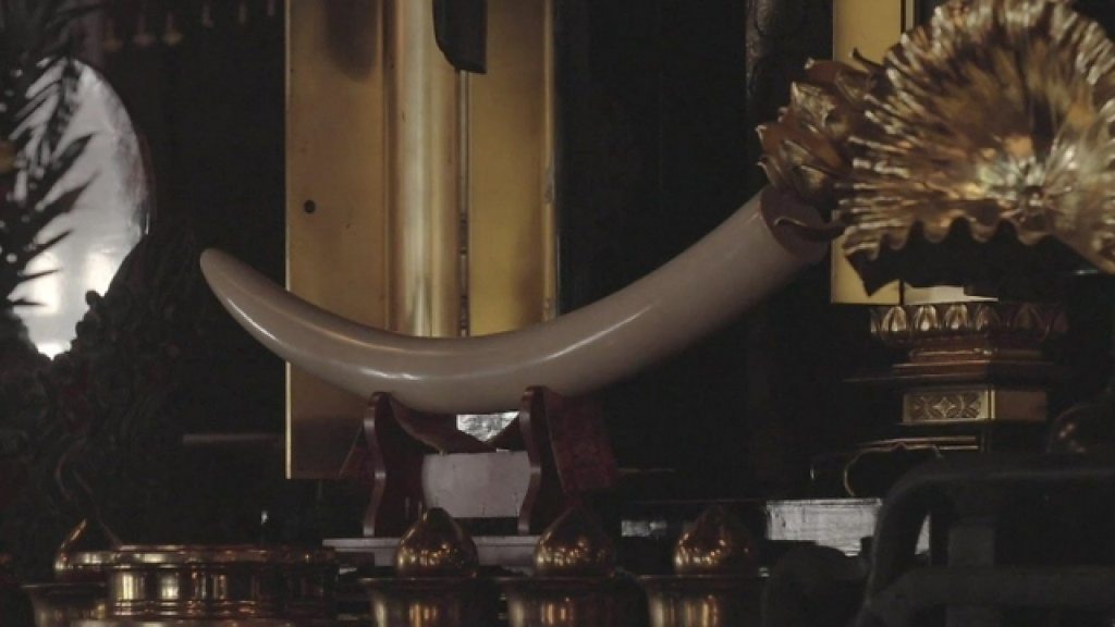 幸運を呼び覚ます　神ンガン様　落雷で死んだ水牛と象の骨　アムナットマハビロ尊者 幸運を呼び覚ます 神ンガン様 落雷で死んだ水牛と象の骨 アム