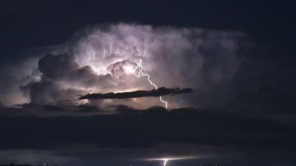 Qirolicha va Tarzan jamoat oldida jinsiy aloqada bolgan Qirolicha va Tarzan jamoat oldida jinsiy alo