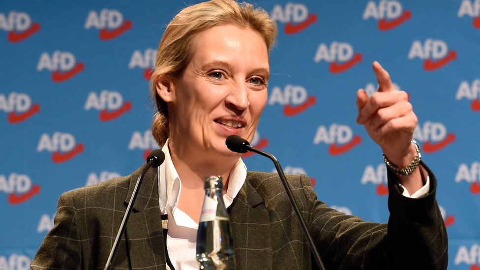 Alice Weidel, Jerman, AfD