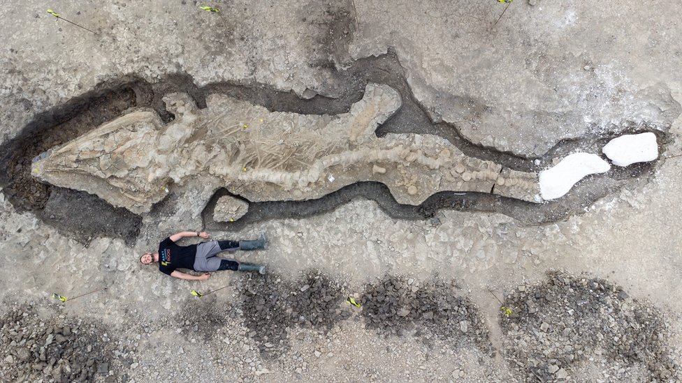 Fóssil mostra que dinossauros também ficavam gripados