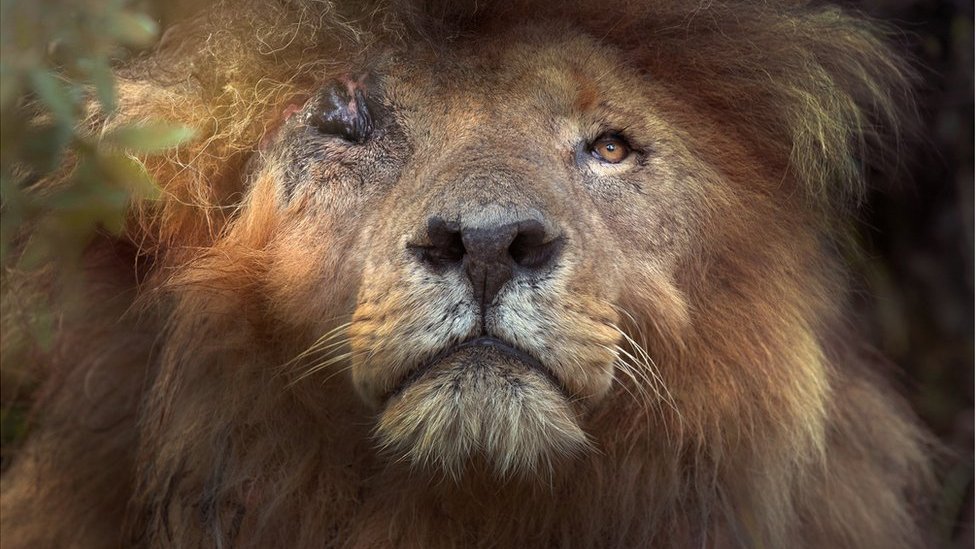 Көкірекше фотодағы үлкен кеуделер