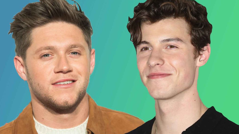 Shawn Mendes to do song with Niall Horan CBBC Newsround