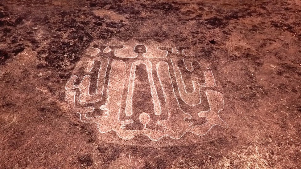 失われた文明の痕跡？ 岩に刻まれた絵、サメやクジラも インド